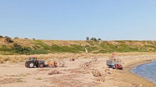 Mezzi meccanici in azione sulla spiaggia di Punta Penna