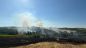 Vegetazione distrutta dalle fiamme