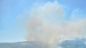 Vegetazione distrutta dalle fiamme