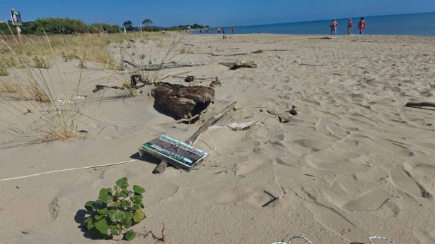 Riserva del Borsacchio: i vandali hanno distrutto tutto