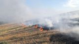 Terreni agricoli a fuoco