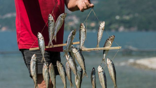 Pesca di frodo