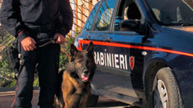 Carabinieri con unità cinofila
