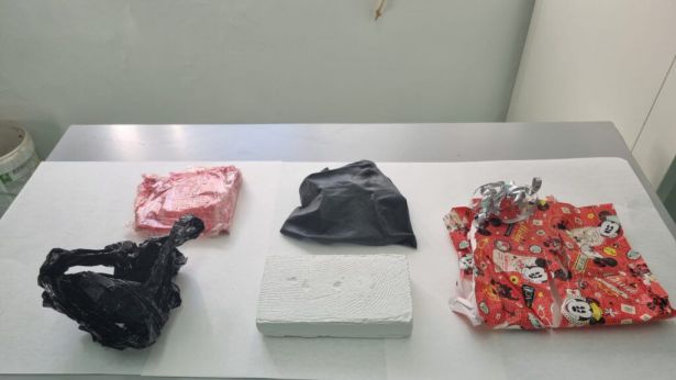 La droga sequestrata a Pretoro