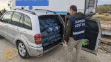 Guardia Costiera: controlli