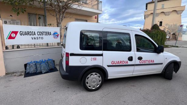 Le vongole sequestrate dalla Guardia Costiera di Vasto