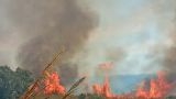 Una immagine di un incendio