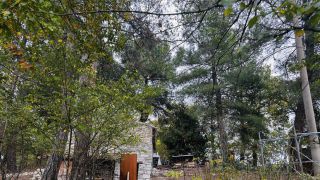 Palmoli: la casa nel bosco nella quale hanno vissuto i bambini