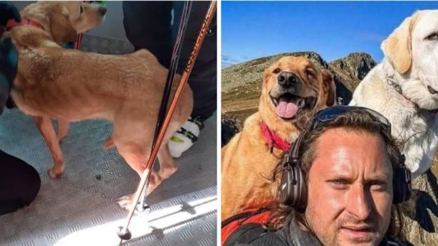 Il cane ritrovato e l'uscursionista scomparso