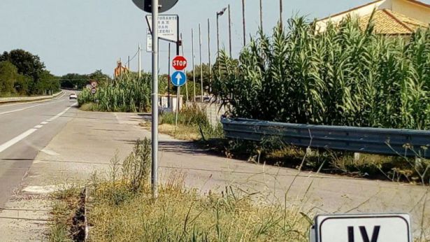 La Statale Adriatica 16