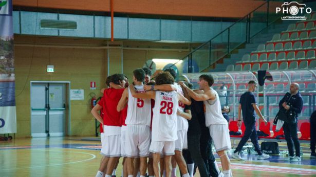 Vasto Basket