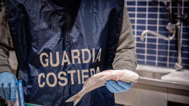 Controlli della Guardia Costiera