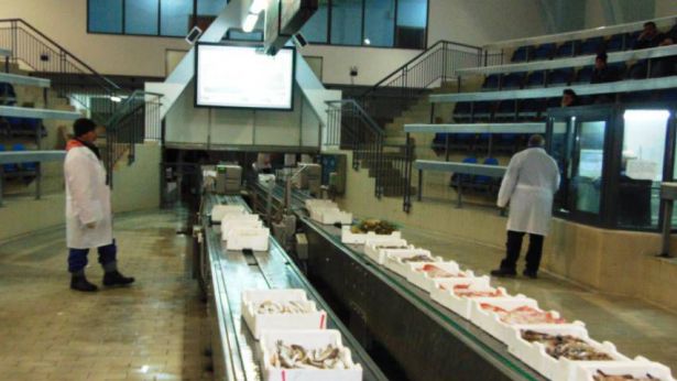 Pescara: il mercato ittico