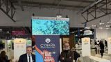 Cynara alla Bit di Milano