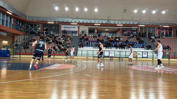 Vasto Basket - Bramante