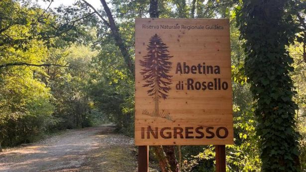 L'ingresso dell'abetina di Rosello