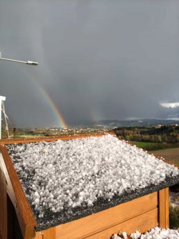 Apicoltura in ginocchio