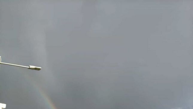 Apicoltura in ginocchio