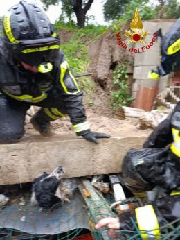 Miglianico: i vigili del fuoco in azione per liberare il cagnolino