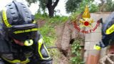 Miglianico: i vigili del fuoco in azione per liberare il cagnolino