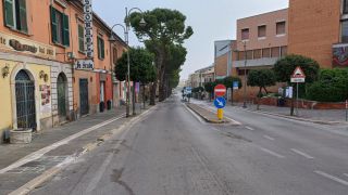 Vasto: i pini presenti lungo corso Garibaldi