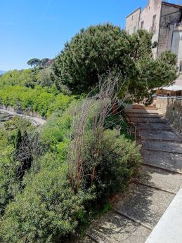 La scalinata che da porta Catena conduce verso il mare