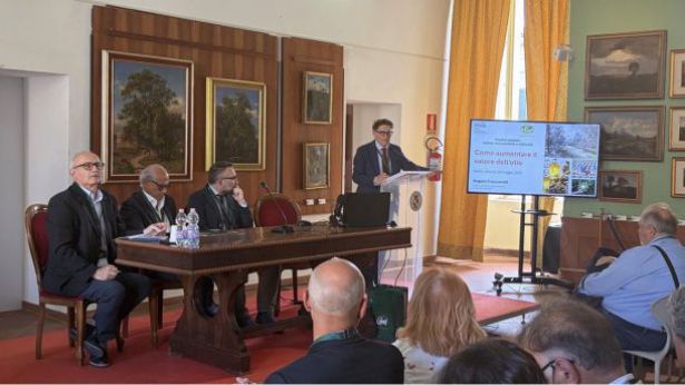 Convegno sull'olio a Palazzo d'Avalos