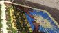 Vasto: l'infiorata del Corpus Domini