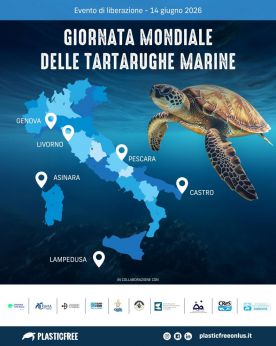 Giornata Mondiale delle Tartarughe marine