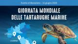 Giornata Mondiale delle Tartarughe marine