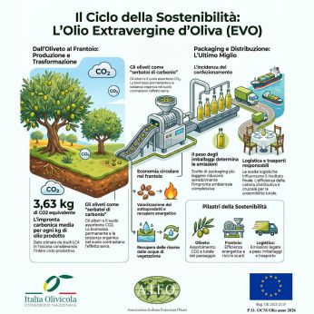 Il ciclo per la produzione dell'olio di oliva