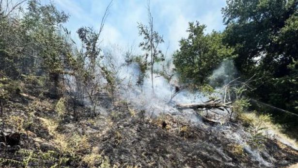 I danni provocati dall'incendio