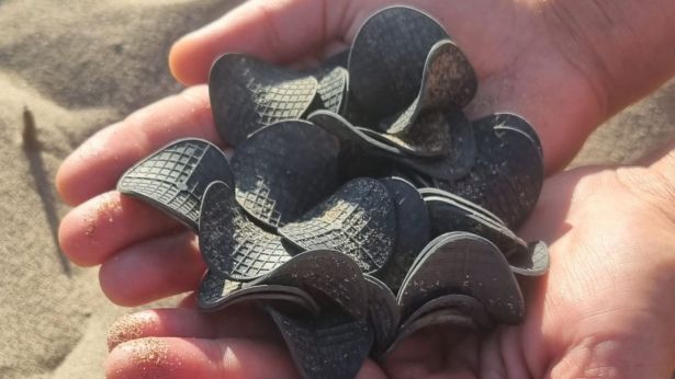 I dischetti rinvenuti lungo le coste dell'Adriatico