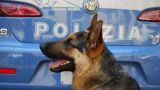 Spot della Polizia di Stato