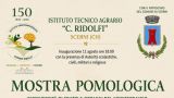 Locandina Istituto Ridolfi di Scerni