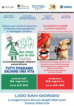 Locandina Lions