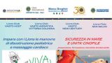 Locandina Lions