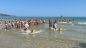 Vasto Marina: iniziativa Lions Club con i cani da salvataggio