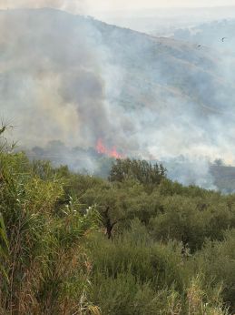 Cupello: l'incendio in atto