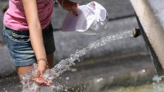 Si cerca un pò di refrigerio