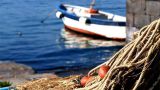 Pesca