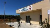 Il canile comunale di Vasto