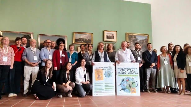 Convegno Vasto
