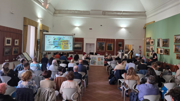 Vasto: convegno a Palazzo d'Avalos