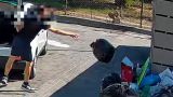 Una immagine diffusa dal Sindaco Menna