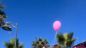 Pink Parade a Vasto Marina