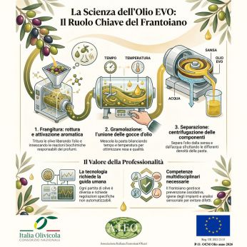 OLIO EVO: IL CICLO DELLA LAVORAZIONE