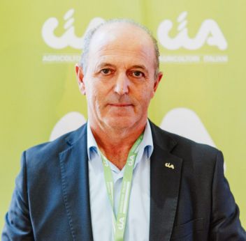 Domenico Bomba